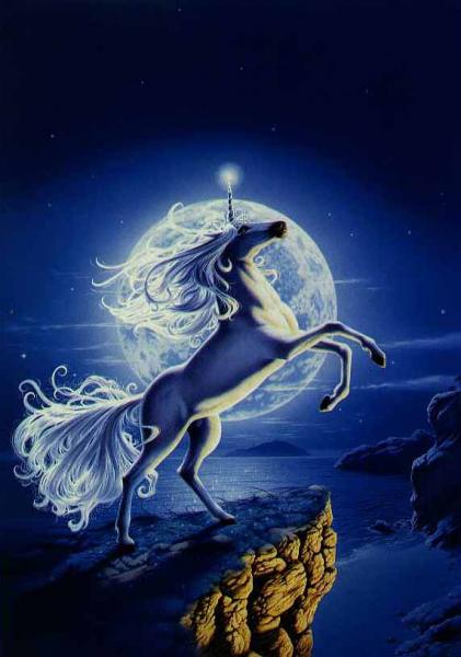 Bonne nuit les ami(e)s